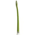 Osaka Field Hockey Stick Low Bow Advanced 25 | Khaki Green