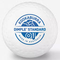 standard hockey ball white