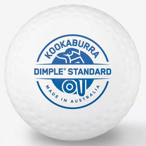 standard hockey ball white